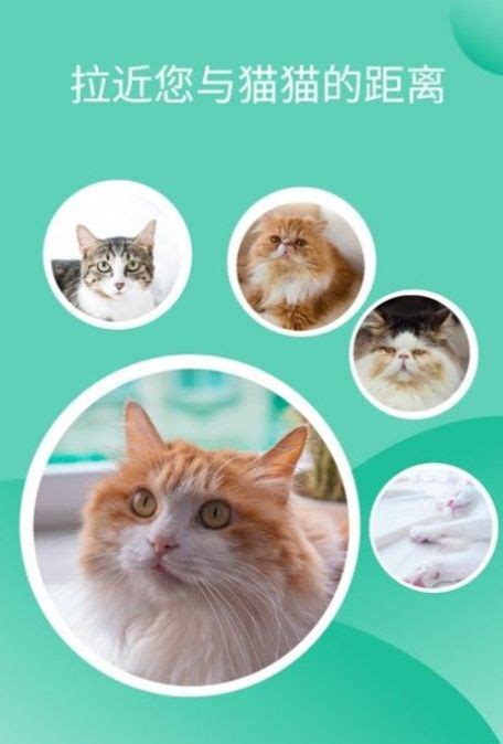 猫猫交流工具app下载_猫猫交流工具软件app最新版下载 v3.3.4-嗨客手机站