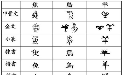 汉字的演变史，就是人类审美艺术的发展史 - 知乎