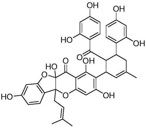 一种黄酮类化合物在制备抗骨质疏松药物中的应用的制作方法