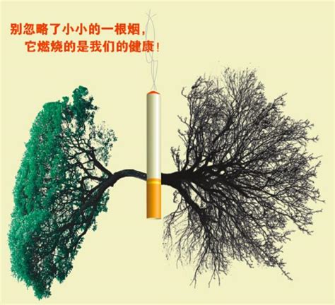 烟草威胁环境——给戒烟多一个理由凤凰网河北_凤凰网