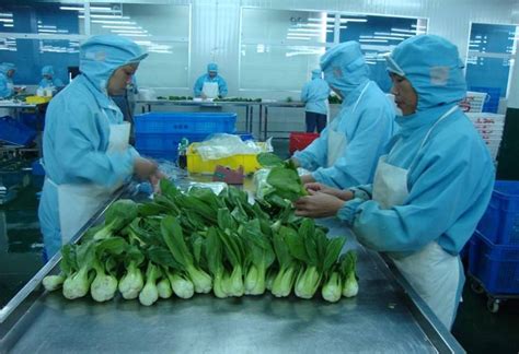 蔬菜配送公司：蔬菜配送的业务流程是什么？_深圳市青隆农副产品有限公司
