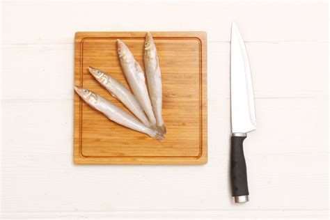 长头小沙丁鱼 | Sardinella longiceps（动物 | 辐鳍鱼类）_技点百科_技点网