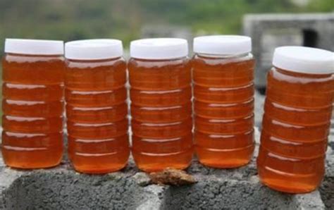 真正土蜂蜜多少钱一斤，为什么野生蜂蜜比普通蜂蜜贵- 理财技巧_赢家财富网