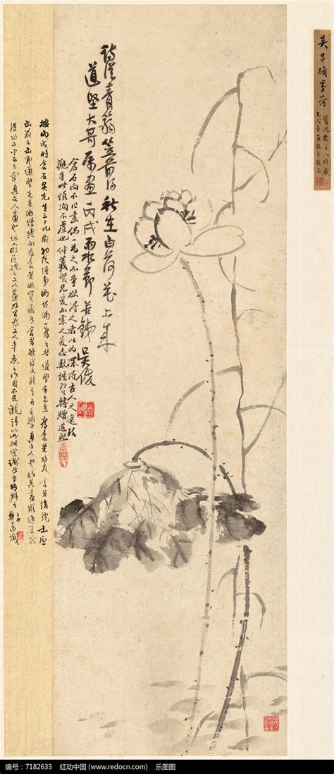 墨荷图图片
