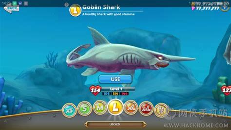 饥饿鲨世界鲨鱼的大小排行榜是什么样的 饥饿鲨世界鲨鱼的大小排行榜样的详解_五鼠游戏