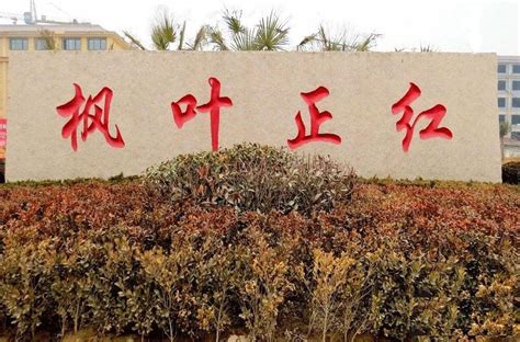 枫叶正红——打造养老产业的菏泽样板