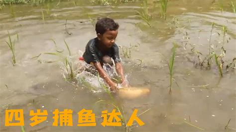 四岁小男孩徒手捕鱼，大鱼排队送_腾讯视频