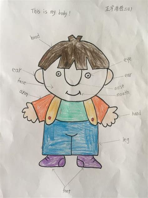 小学三年级英语关于身体部位的手抄报 三年级英语身体部位手抄报简单 | 抖兔教育