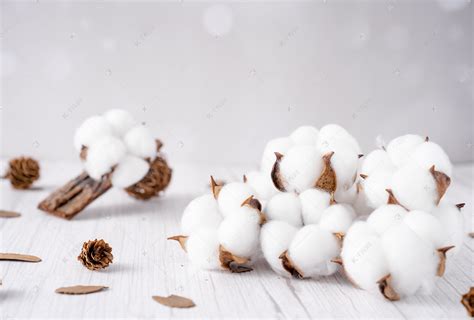 棉型织物的主要品种及特点 - 知乎
