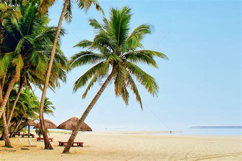蓝天下白色沙滩椰子树风光摄影图片 - 三原图库