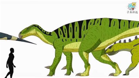 三叠纪有哪些比较常见或者著名的恐龙？各有什么特点？ - 知乎