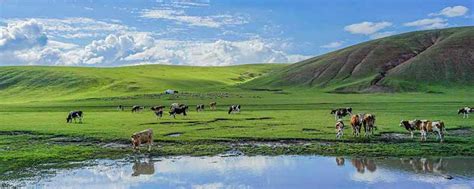 “天苍苍，野茫茫，风吹草低见牛羊”描绘的是哪个地方的景色?