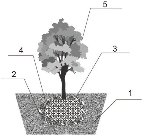 一种用于酸性风化煤矸石堆场种植木本植物的方法与流程