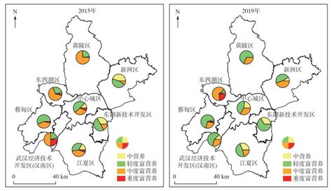 2015-2019年武汉市湖泊水质时空变化
