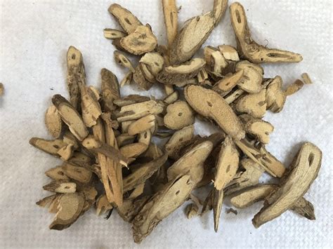 牛耳枫图片