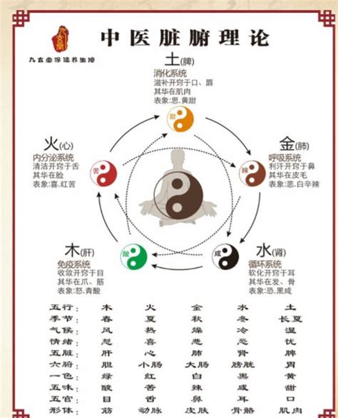 中医五行五脏对应表设计图__其他图标_标志图标_设计图库_昵图网nipic.com