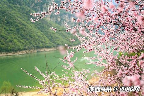 这座粤北小城不出名却浓缩了整个广东的春天，自驾赏花超美！_凤凰网