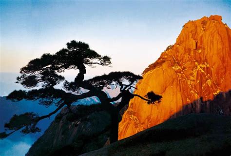 黄山旅游感言，如何描述黄山之美-视觉旅行