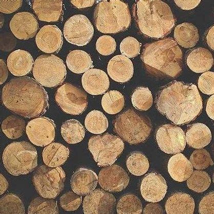 关于木材的规范名称和等级划分 - 知乎