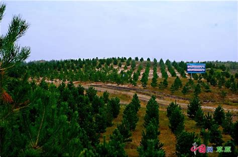 内蒙古通辽市全面推进林草产业高质量发展 - 内蒙古 - 中国产业经济信息网