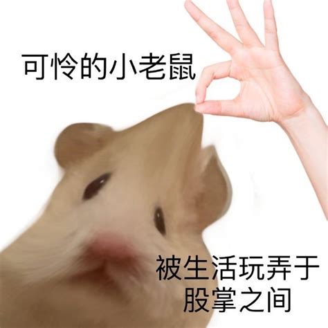 不卑微了我要发疯表情包图片