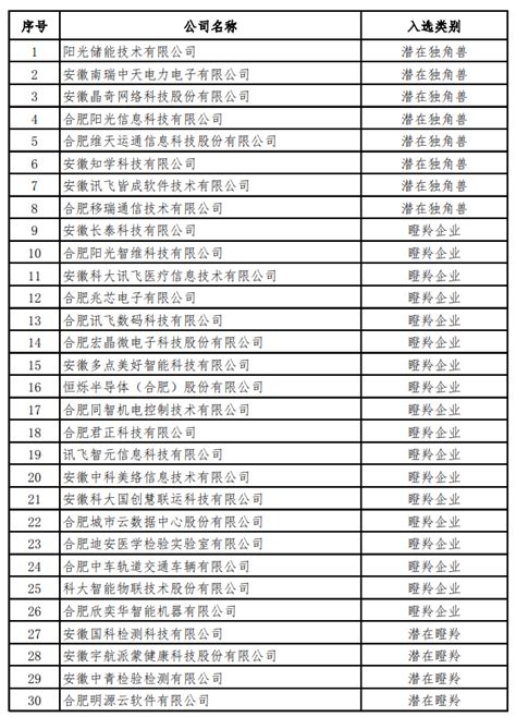 中国半导体企业排名_合肥真萍电子科技有限公司