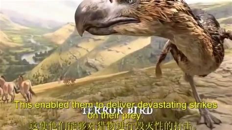 恐鸟=恐怖的远古巨鸟_腾讯视频