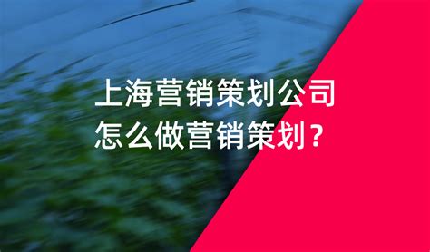 上海数字营销公司：营销策略有哪些？已推荐-上海物心营销策划公司