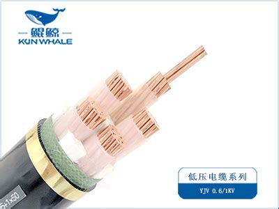 95平方高压电缆价格-中策电线电缆厂家直销_高压电缆_杭州安信电线电缆有限公司