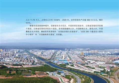 楚雄市新材料产业园招商项目 --政务信息@云南投资促进网