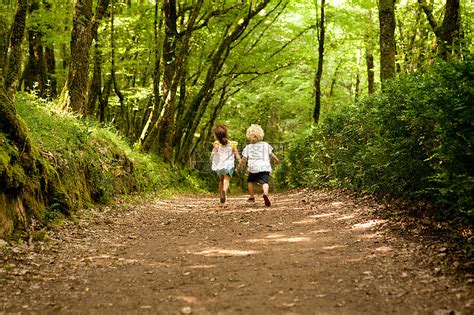 可爱、可爱、快乐的小女孩在树林里行走 享受大自然mov4K视频素材下载-编号4776438-潮点视频