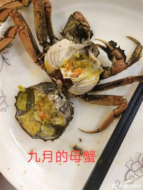 大闸蟹怎么卖的,新手怎么卖螃蟹,螃蟹卖(第10页)_大山谷图库