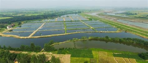 水体环境对水产养殖的重要性_广州环控农业生物科技有限公司