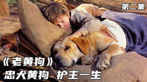 一条老黄狗，用自己的一生去保护主人《老黄狗》_高清1080P在线观看平台_腾讯视频