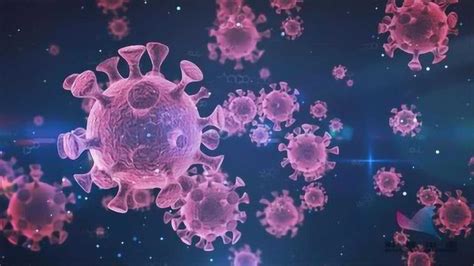 新冠病毒在物体表面能存活多久？专家给出的答案，你可能难以置信_腾讯视频