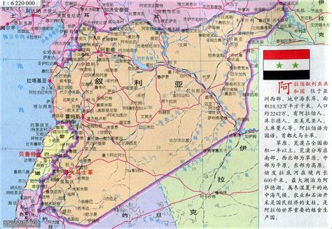 叙利亚安全形势不容乐观 中使馆吁中国公民尽快撤离_留学_环球网