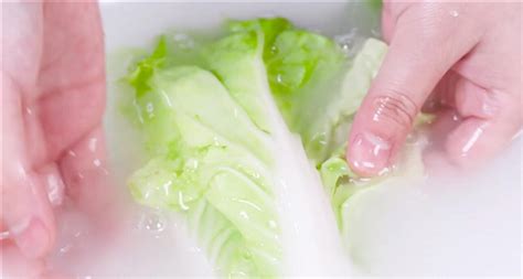 青菜应该怎么洗干净 - 鲜淘网