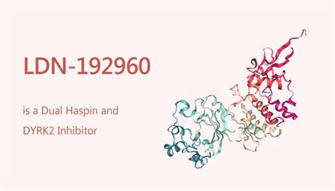 LDN-192960 is a Dual Haspin and DYRK2 Inhibitor - Network of Cancer ...