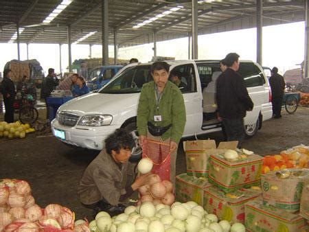河南商丘市农产品中心批发市场图片-淘金地农业网