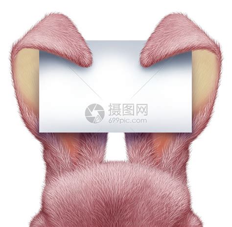 东兔粉色耳朵拿着一张空白的标志卡上面有详细素描现实的毛皮作为庆祝节日的有趣春季象征高清图片下载-正版图片301638320-摄图网