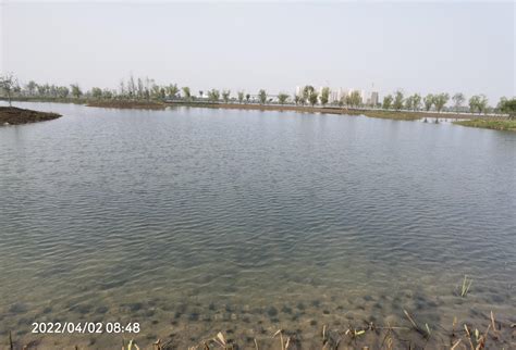 武汉市杜公湖国家湿地公园水生态项目二期（在建中）-上海清涟环境科技有限公司