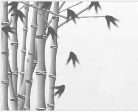 竹子的人生寓意，象征什么精神品质 - 花百科