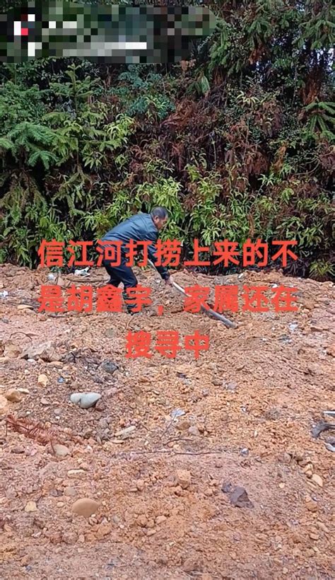 胡鑫宇遗体在金鸡山一粮库被发现 家属：希望找到线索提供人_手机新浪网