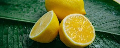 99.9%人都不知道的青、黄柠檬区别，看完秒懂别再用这款柠檬泡水|东南亚|黄柠檬|柠檬_新浪新闻