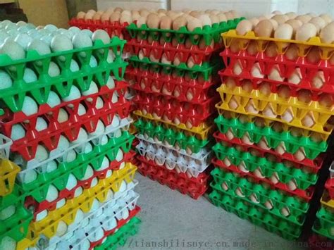 孵化器蛋托 鸡蛋蛋托 种蛋蛋托 42枚塑料蛋托-阿里巴巴