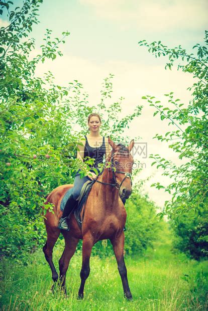 骑着栗色马的美丽少妇高清图片下载-正版图片504270184-摄图网
