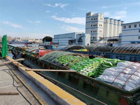 城阳国际冷冻食品物流中心 - 建设项目 - 青岛市城阳蔬菜水产品批发市场