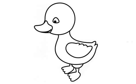 小鸭子简笔画画法_怎么画小鸭子的简笔画 - 简笔画动物 - 儿童简笔画图片大全