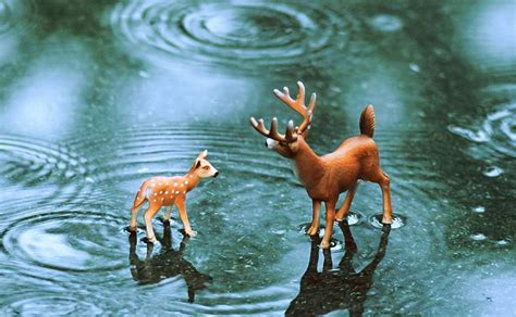 鹿的寓意象征是什么,云和鹿的寓意,五只鹿的寓意和象征(第6页)_大山谷图库
