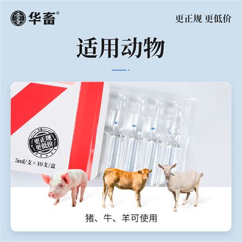 兽药包装 恩诺沙星注射液-药品/保健品包装设计作品|公司-特创易·GO